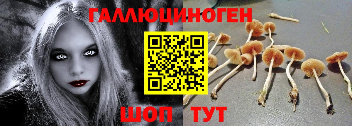 Меф   Гусь-Хрустальный  Бошки Шишки  Вход с VPN  ГАШ  MDMA 