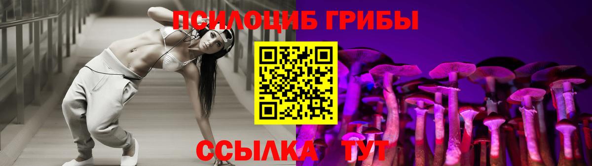 Псилоцибиновые грибы GOLDEN TEACHER  Вход с VPN  Псилоцибиновые грибы Cubensis  Гусь-Хрустальный 
